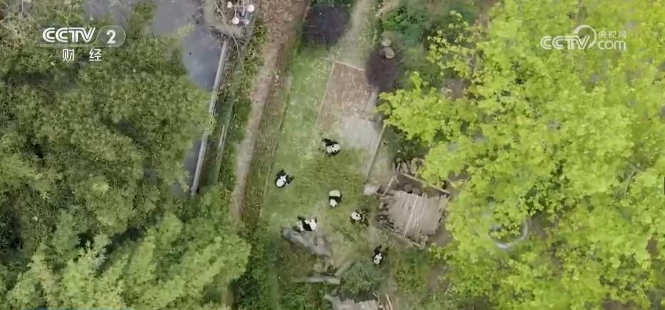 
杭州市一医院黄牛代挂号电话票贩子号贩子网上预约挂号,住院检查加快,紧扣“地方特色” 更多优质旅游产品出炉
