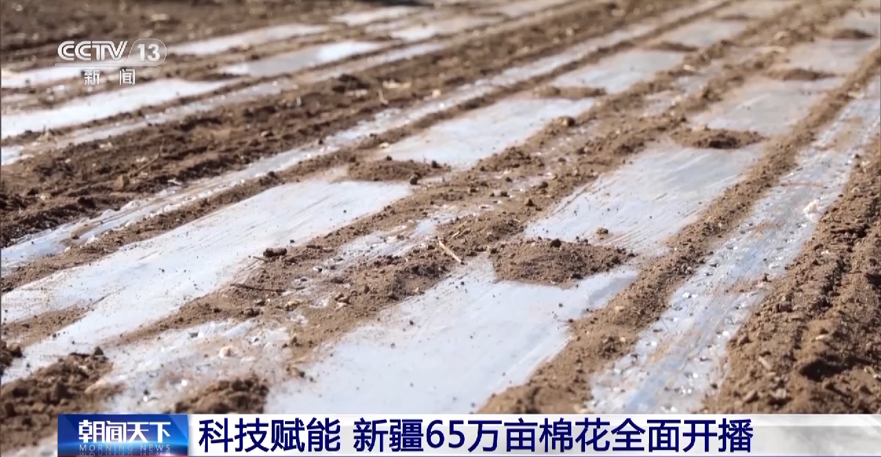 
北京302医院黄牛代挂号电话票贩子号贩子网上预约挂号,住院检查加快,科技赋能 新疆65万亩棉花全面开播