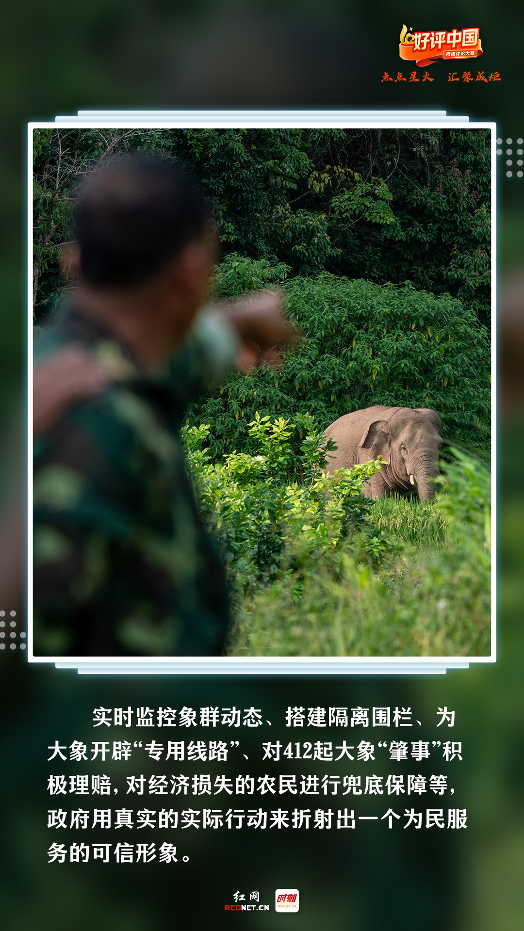 
上海各大医院黄牛代挂号电话票贩子号贩子网上预约挂号,住院检查加快,好评中国丨世界地球日，他们用好评“告白”地球