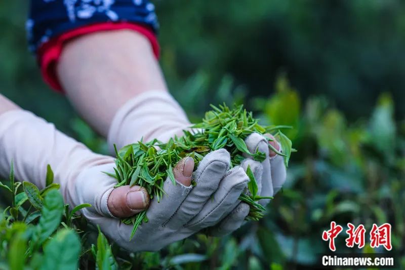 
广州市妇女儿童医疗中心黄牛代挂号电话票贩子号贩子网上预约挂号,住院检查加快,王铭：人类非物质文化遗产如何“讲述”中外文明互鉴？