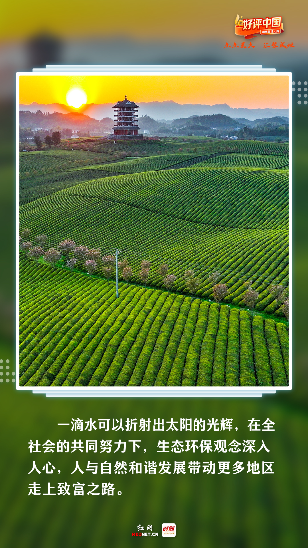
上海各大医院黄牛代挂号电话票贩子号贩子网上预约挂号,住院检查加快,好评中国丨世界地球日，他们用好评“告白”地球