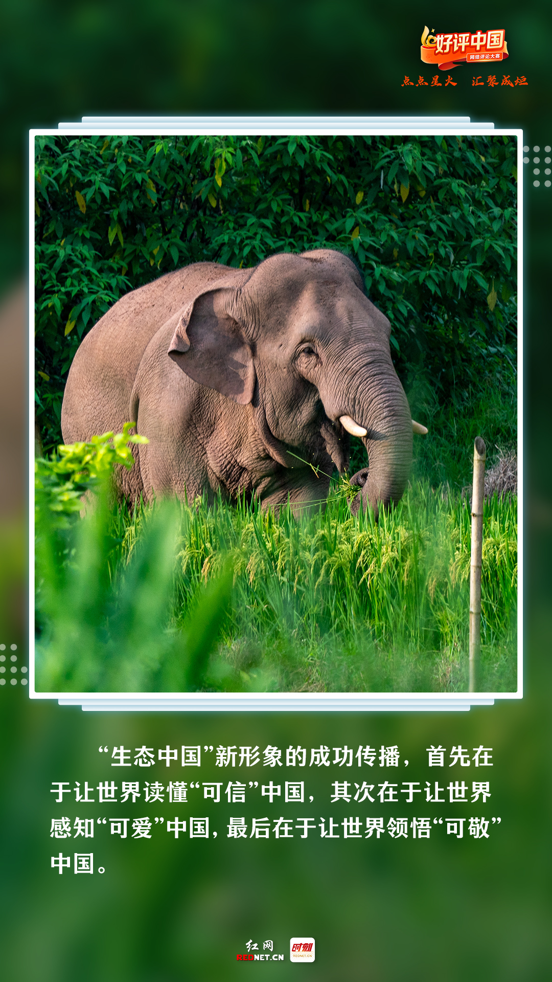 
上海各大医院黄牛代挂号电话票贩子号贩子网上预约挂号,住院检查加快,好评中国丨世界地球日，他们用好评“告白”地球
