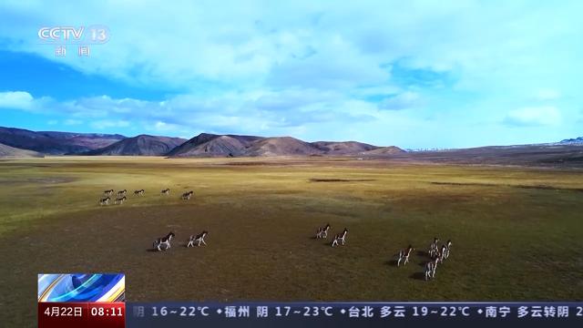 
西安市儿童医院黄牛代挂号电话票贩子号贩子网上预约挂号,住院检查加快,自然资源部：我国全面完成生态保护红线划定工作