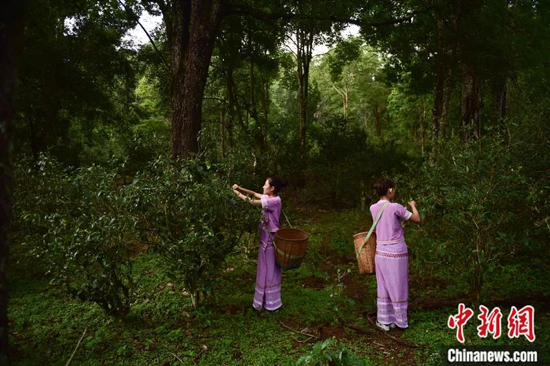 
广州市妇女儿童医疗中心黄牛代挂号电话票贩子号贩子网上预约挂号,住院检查加快,王铭：人类非物质文化遗产如何“讲述”中外文明互鉴？