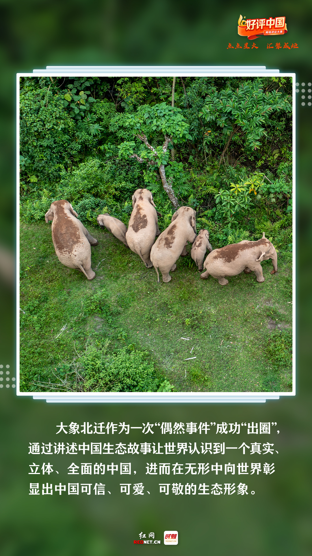 
上海各大医院黄牛代挂号电话票贩子号贩子网上预约挂号,住院检查加快,好评中国丨世界地球日，他们用好评“告白”地球