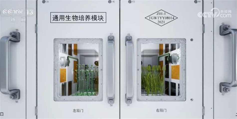 
上海各大医院黄牛代挂号电话票贩子号贩子网上预约挂号,住院检查加快,中国航天育种科研持续推进 助力产业发展