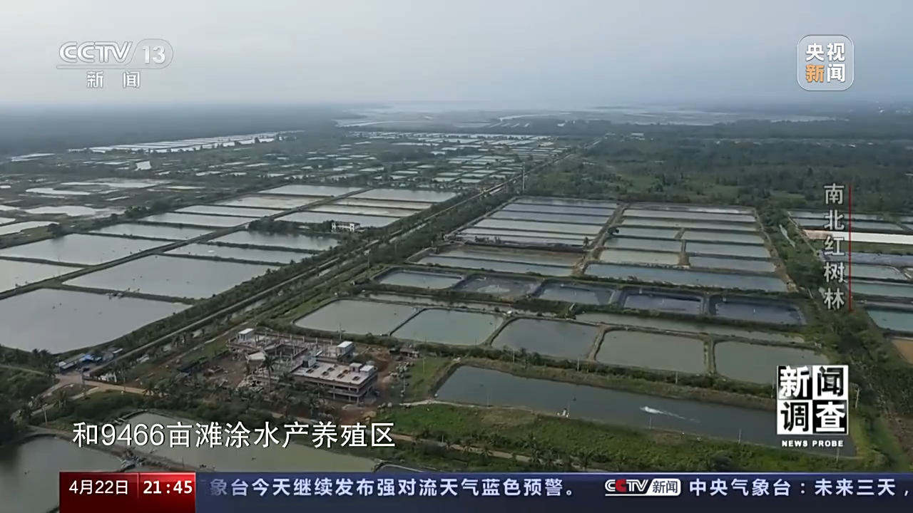 
杭州市人民医院黄牛代挂号电话票贩子号贩子网上预约挂号,住院检查加快,新闻调查丨渔民心中的“港湾银行” 红树林守护一片绿水青山
