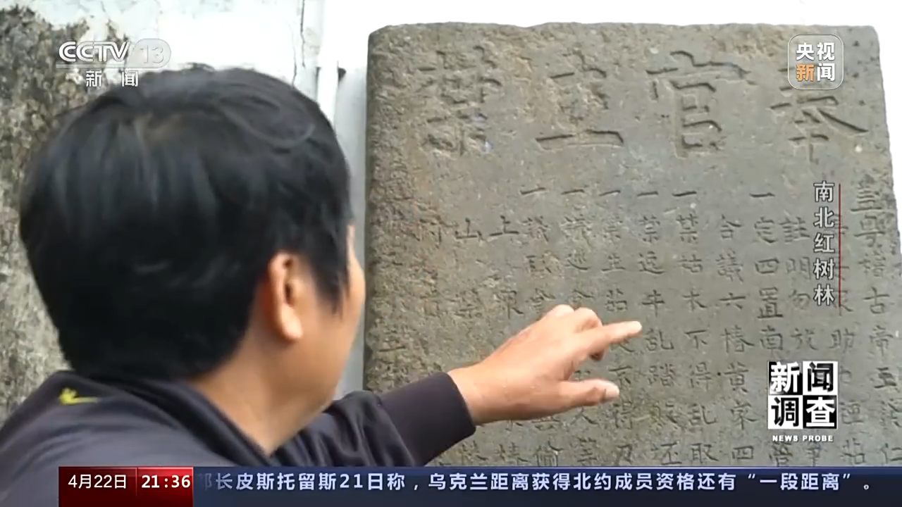 
杭州市人民医院黄牛代挂号电话票贩子号贩子网上预约挂号,住院检查加快,新闻调查丨渔民心中的“港湾银行” 红树林守护一片绿水青山