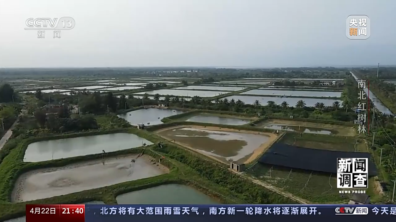 
杭州市人民医院黄牛代挂号电话票贩子号贩子网上预约挂号,住院检查加快,新闻调查丨渔民心中的“港湾银行” 红树林守护一片绿水青山