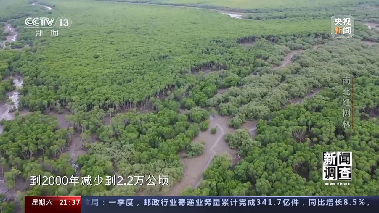 
杭州市人民医院黄牛代挂号电话票贩子号贩子网上预约挂号,住院检查加快,新闻调查丨渔民心中的“港湾银行” 红树林守护一片绿水青山