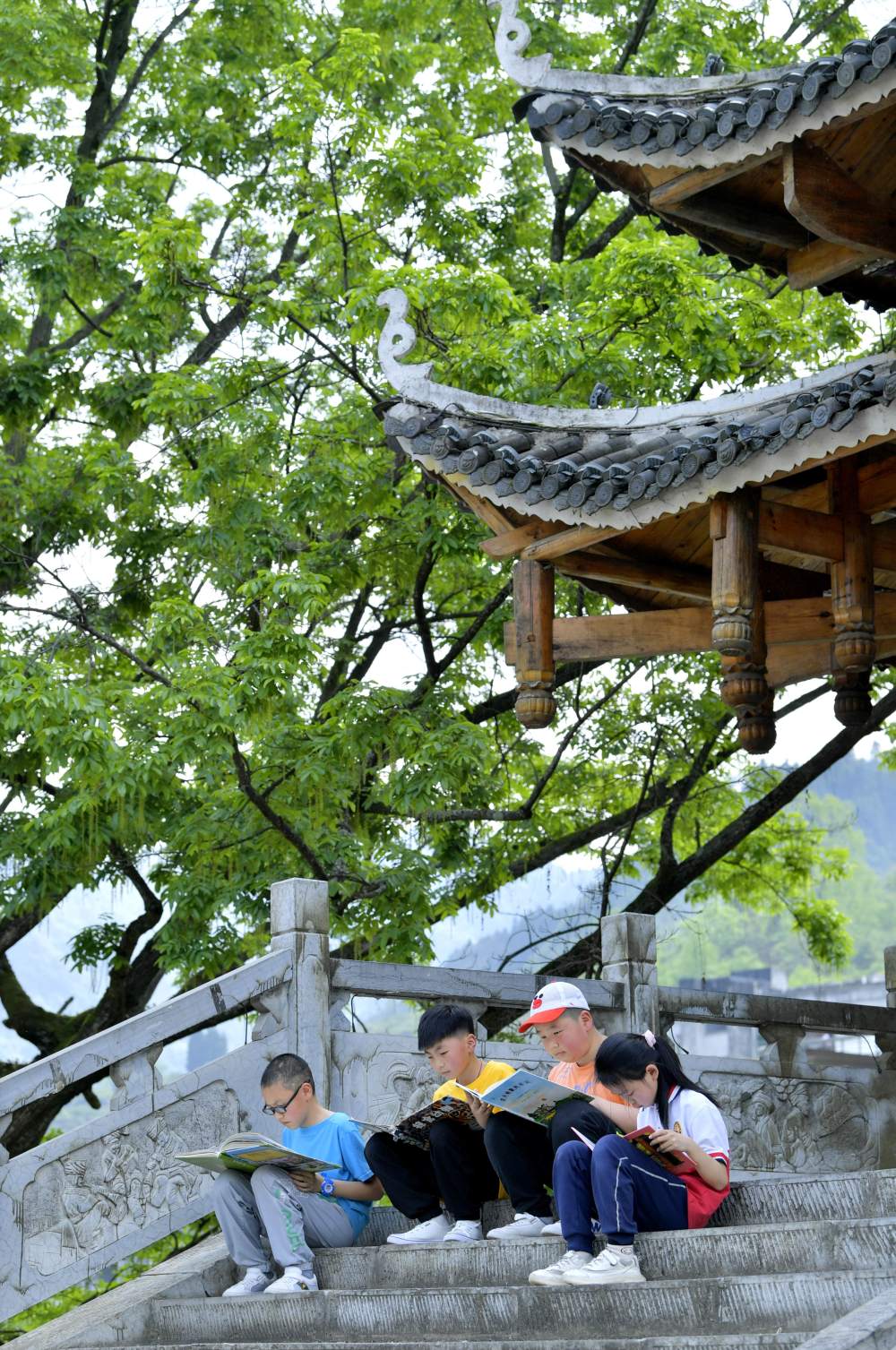 
南京金陵医院黄牛代挂号电话票贩子号贩子网上预约挂号,住院检查加快,诗意中国丨读书不觉已春深，一寸光阴一寸金