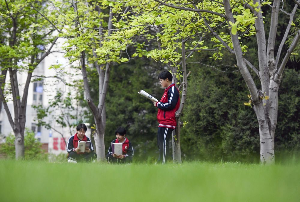 
南京金陵医院黄牛代挂号电话票贩子号贩子网上预约挂号,住院检查加快,诗意中国丨读书不觉已春深，一寸光阴一寸金