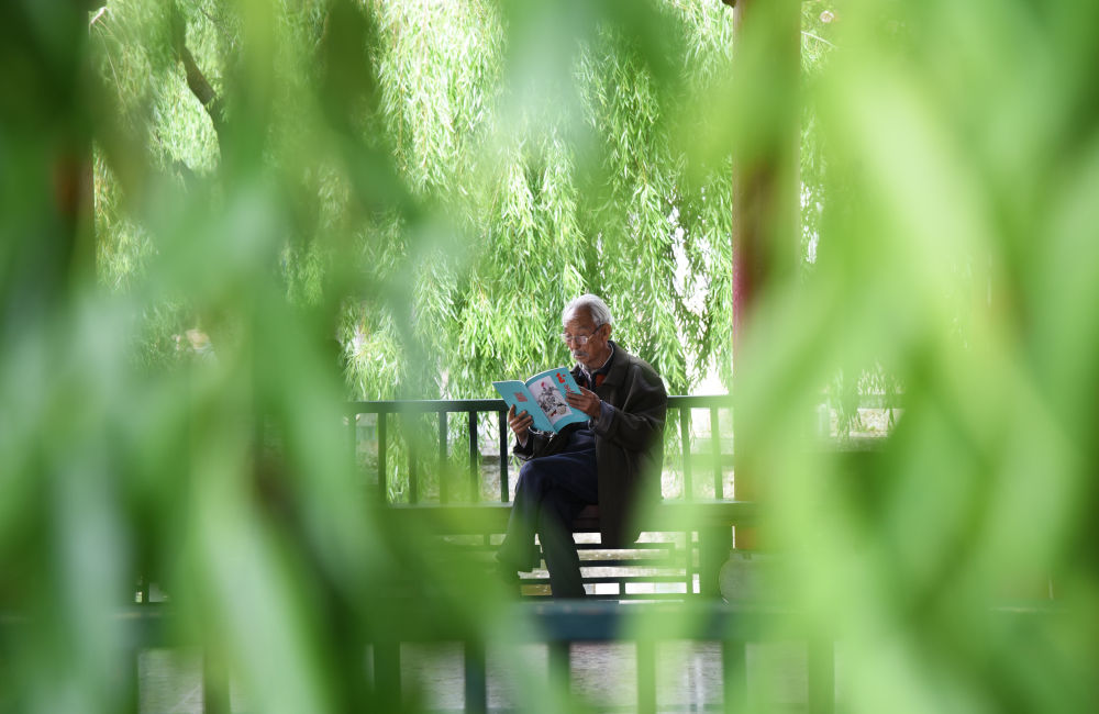 
南京金陵医院黄牛代挂号电话票贩子号贩子网上预约挂号,住院检查加快,诗意中国丨读书不觉已春深，一寸光阴一寸金