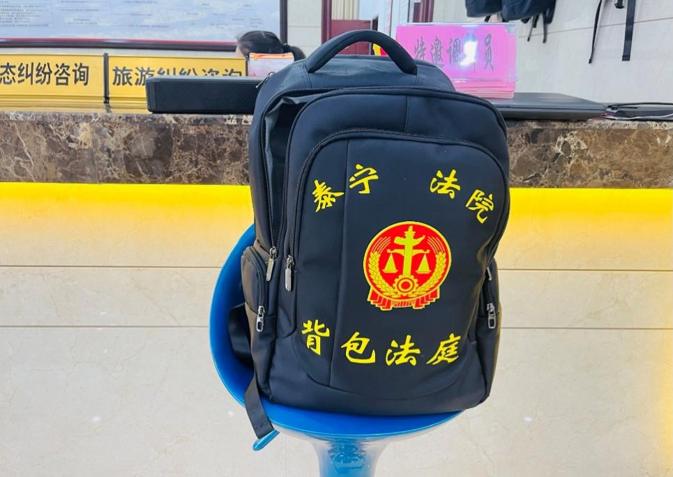 
天津各大医院黄牛代挂号电话票贩子号贩子网上预约挂号,住院检查加快,【大国基理】行走在村间山头的“背包法庭”