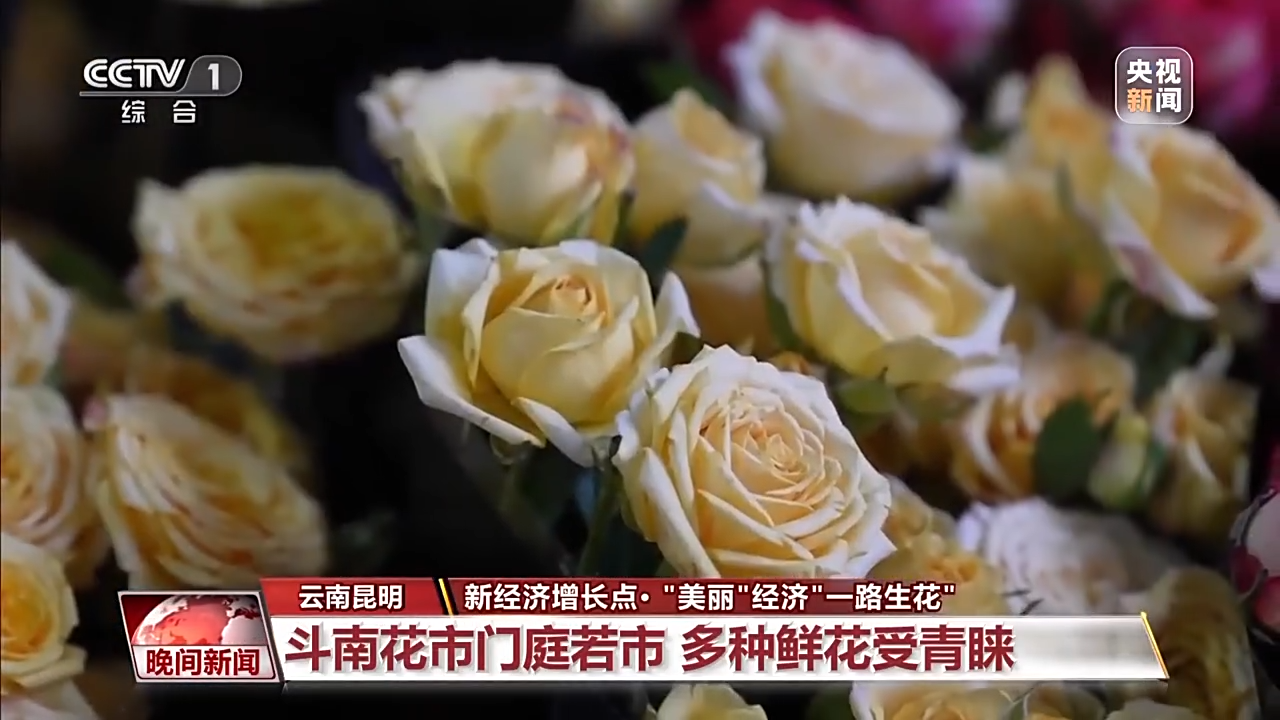
中山大学附属第一医院黄牛代挂号电话票贩子号贩子网上预约挂号,住院检查加快,春暖花开时 看“美丽”经济“一路生花”