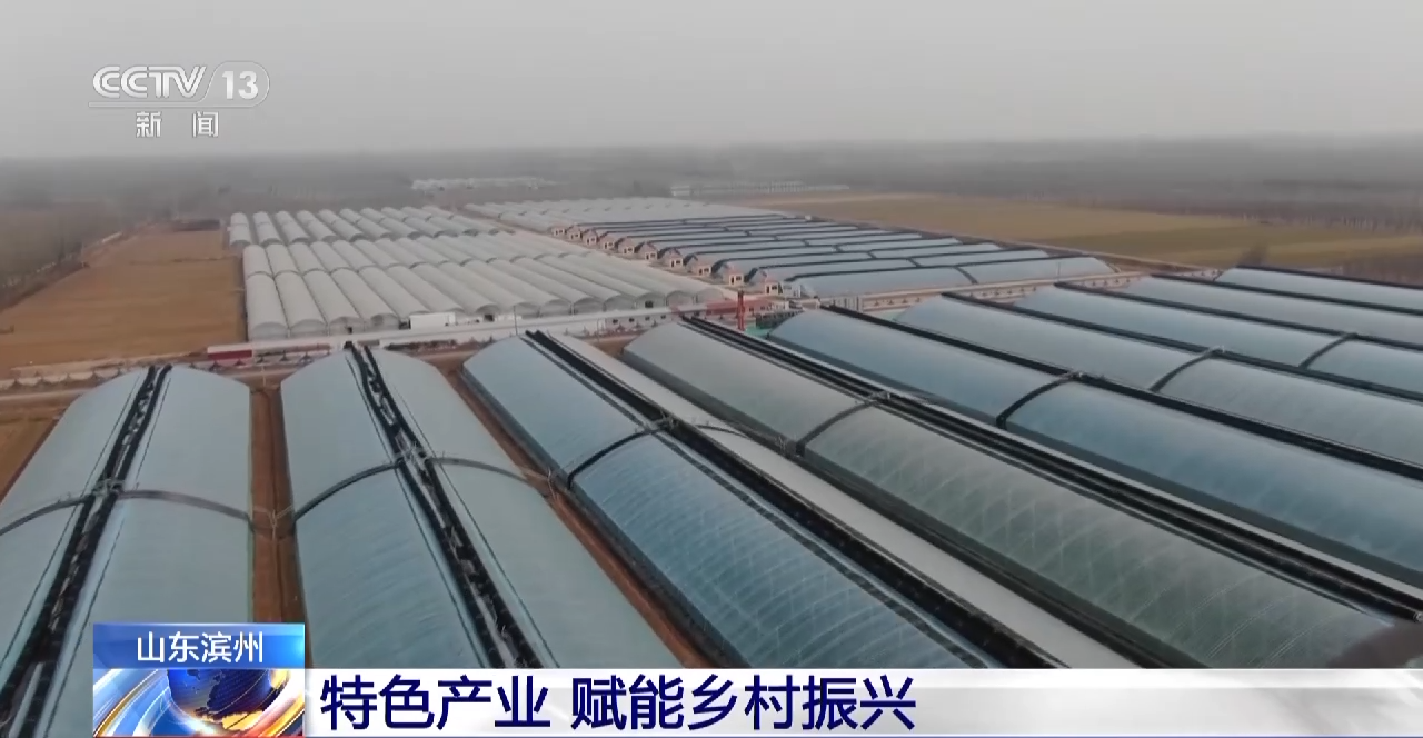 
江苏省肿瘤医院黄牛代挂号电话票贩子号贩子网上预约挂号,住院检查加快,美了乡村富了乡亲！这些特色产业赋能乡村振兴→