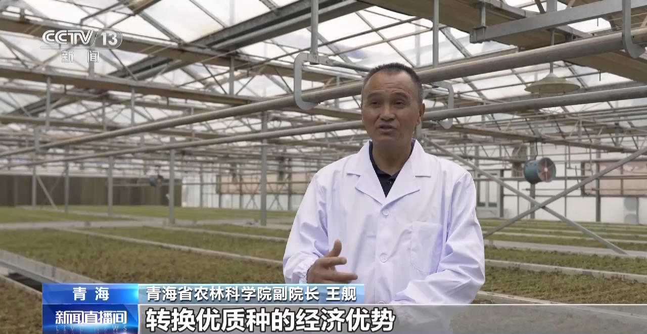 
江苏省肿瘤医院黄牛代挂号电话票贩子号贩子网上预约挂号,住院检查加快,美了乡村富了乡亲！这些特色产业赋能乡村振兴→