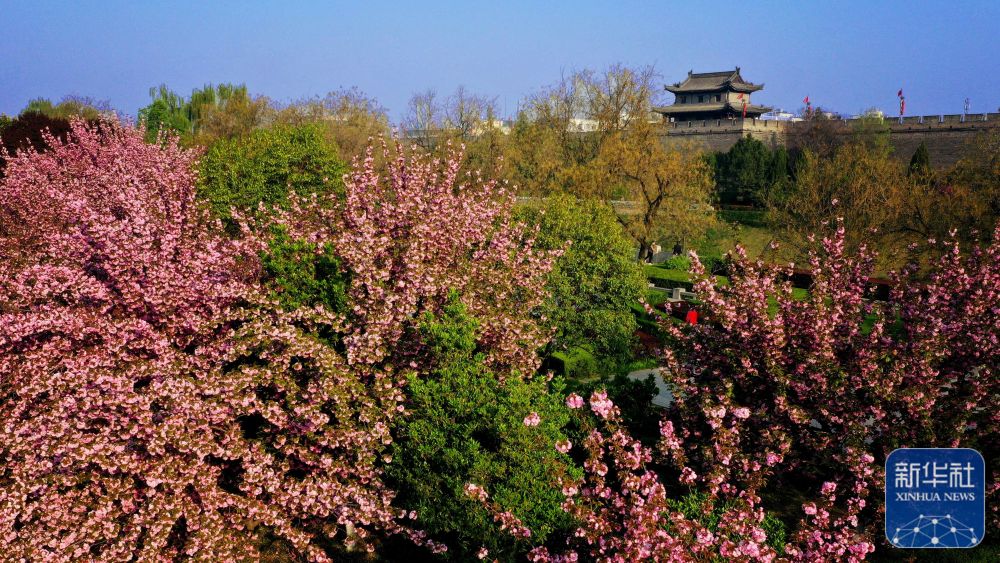 
北京天坛医院黄牛代挂号电话票贩子号贩子网上预约挂号,住院检查加快,春满西安明城墙