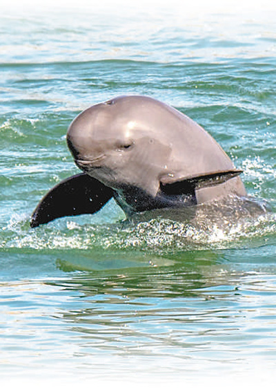 
南京脑科医院黄牛代挂号电话票贩子号贩子网上预约挂号,住院检查加快,一家沿江化工企业的转型路（一线调研）