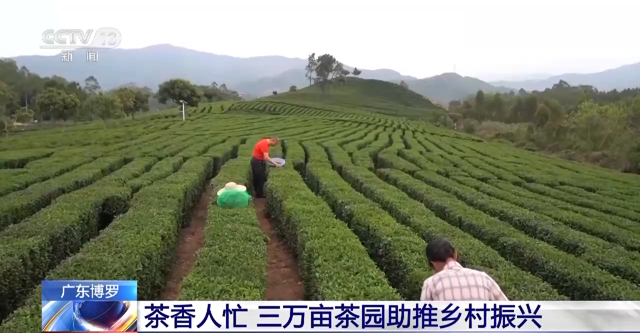 
江苏省肿瘤医院黄牛代挂号电话票贩子号贩子网上预约挂号,住院检查加快,美了乡村富了乡亲！这些特色产业赋能乡村振兴→