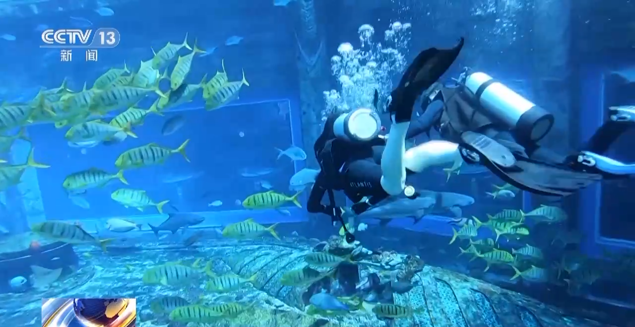 杭州市第一人民医院黄牛代挂号电话票贩子号贩子网上预约挂号,住院检查加快,“五一”假期将至 这些高风险旅游项目需谨慎选择