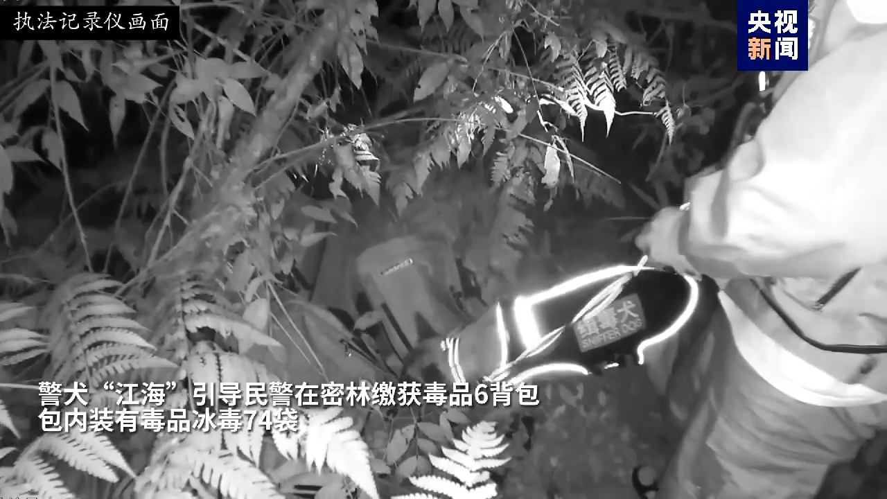 北京301医院黄牛代挂号电话票贩子号贩子网上预约挂号,住院检查加快,汪汪队再立功!云南西双版纳缴获毒品86公斤