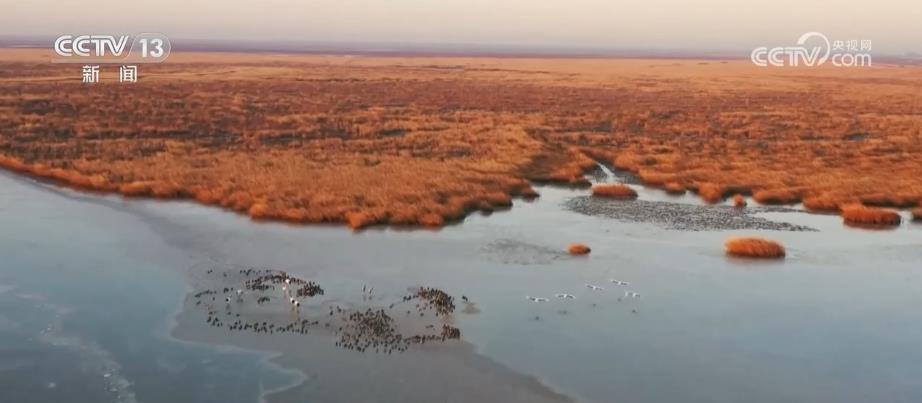 
沈阳各大医院黄牛代挂号电话票贩子号贩子网上预约挂号,住院检查加快,黄河流域植被覆盖度提升 “绿线”向西移动约300公里