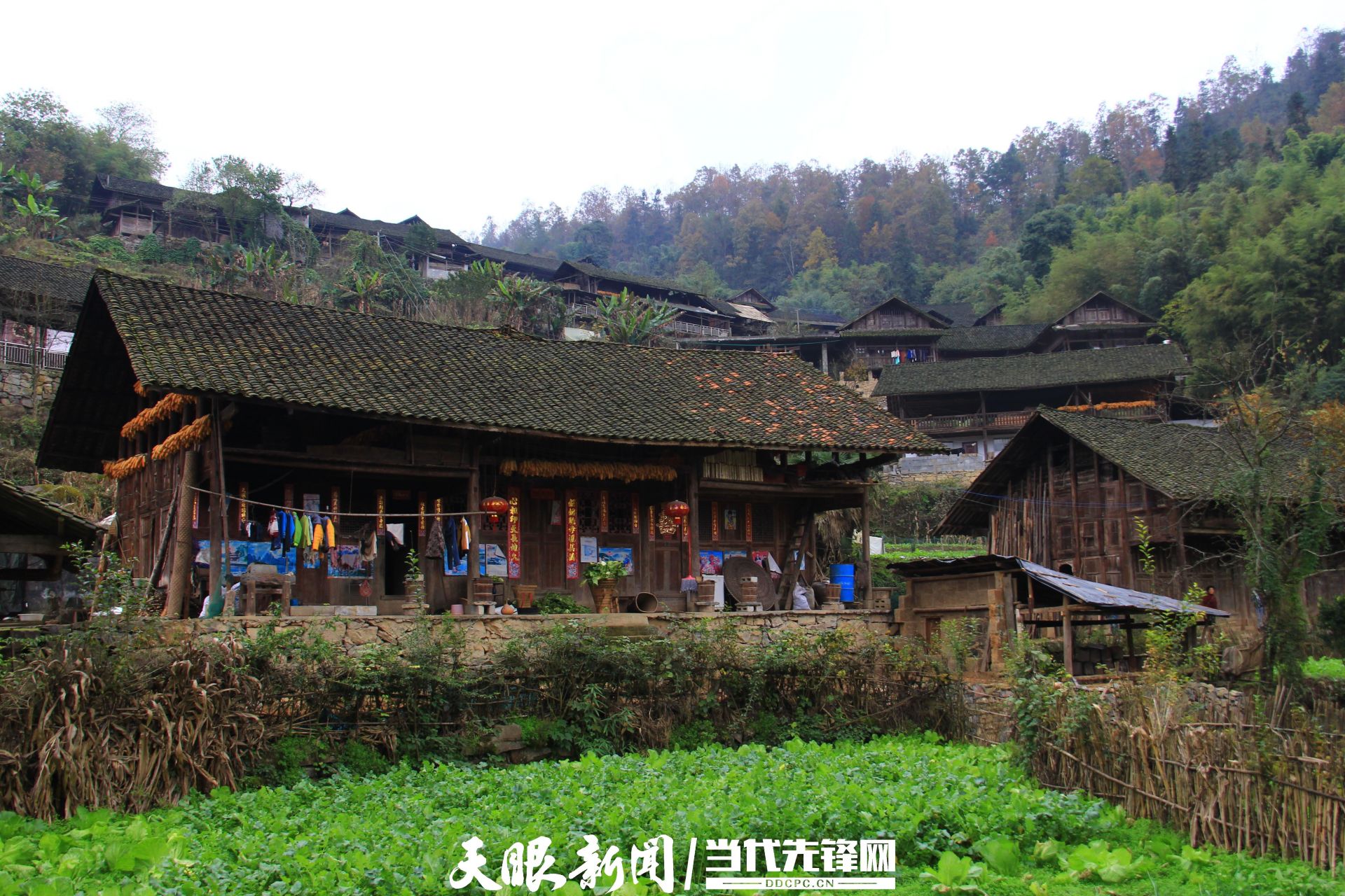 
北京大学第一医院黄牛代挂号电话票贩子号贩子网上预约挂号,住院检查加快,多彩民族有多彩丨贵州沿河土家族：穿越千年，黔东有“唱”不完的故事！