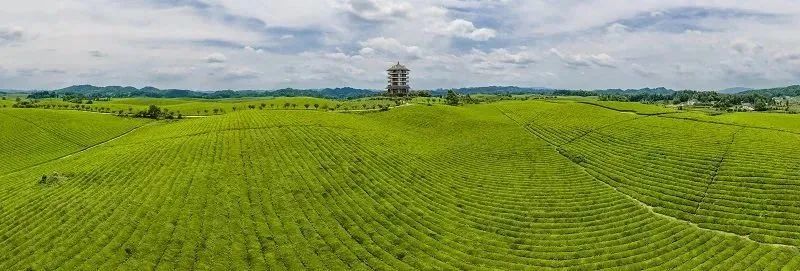 
杭州各大医院黄牛代挂号电话票贩子号贩子网上预约挂号,住院检查加快,快到贵州来看“海”
