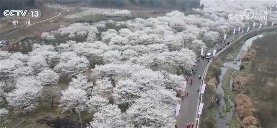 
北京鼓楼医院孙凌云黄牛代挂号电话票贩子号贩子网上预约挂号,住院检查加快,踏青赏景正当时 农文旅结合一体化高质量发展促乡村振兴