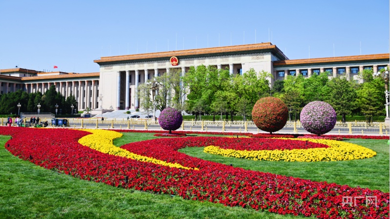 
上海儿童医学中心黄牛代挂号电话票贩子号贩子网上预约挂号,住院检查加快,组图｜28万余株花卉装点北京天安门广场