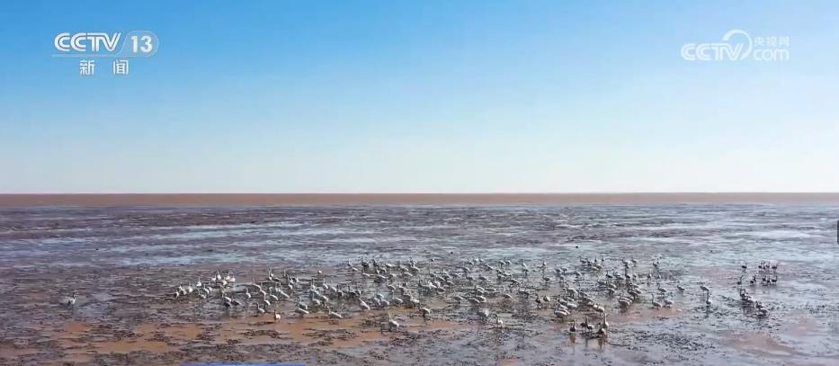 
沈阳各大医院黄牛代挂号电话票贩子号贩子网上预约挂号,住院检查加快,黄河流域植被覆盖度提升 “绿线”向西移动约300公里