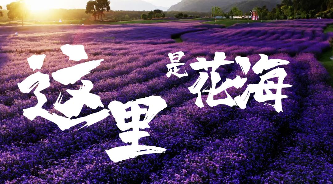 
杭州各大医院黄牛代挂号电话票贩子号贩子网上预约挂号,住院检查加快,快到贵州来看“海”