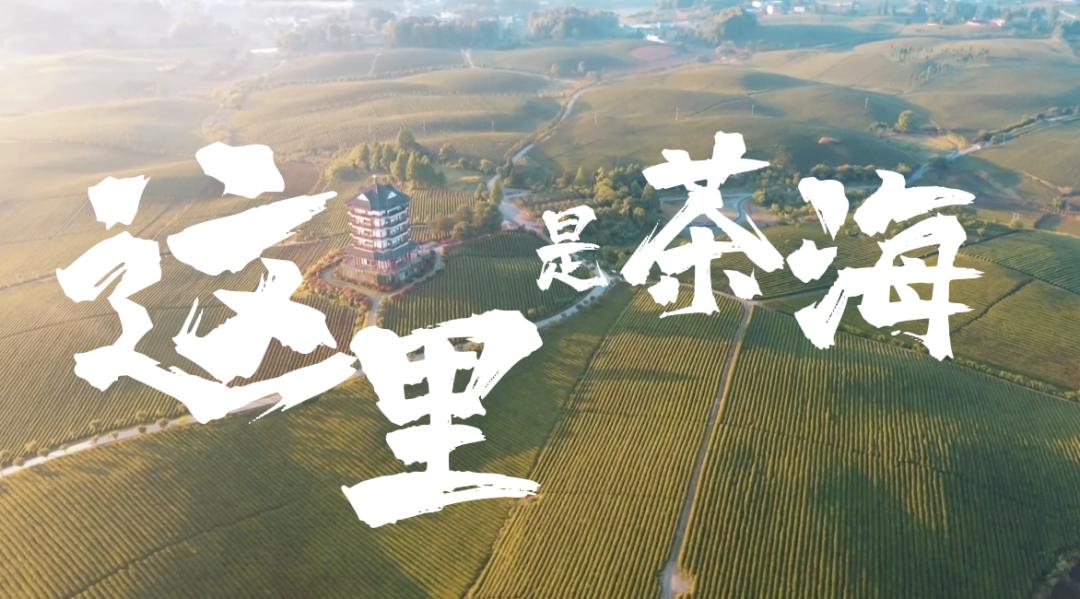 
杭州各大医院黄牛代挂号电话票贩子号贩子网上预约挂号,住院检查加快,快到贵州来看“海”