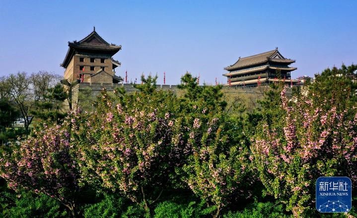 
成都华西医院黄牛代挂号电话票贩子号贩子网上预约挂号,住院检查加快,西安：城墙下 春花开