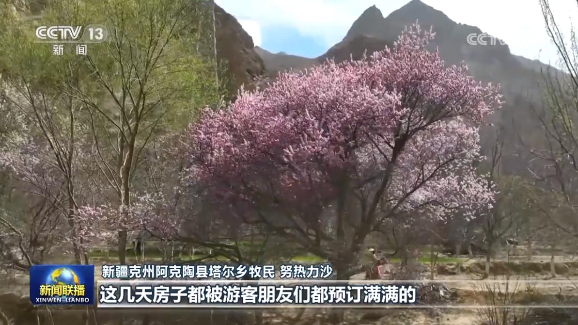 
杭州市第一人民医院黄牛代挂号电话票贩子号贩子网上预约挂号,住院检查加快,旅游市场持续回暖 激发消费新活力