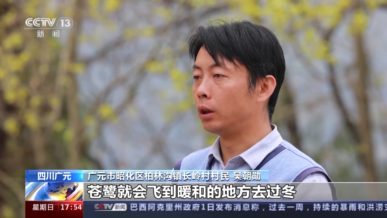 
首都医科大学附宣武医院黄牛代挂号电话票贩子号贩子网上预约挂号,住院检查加快,护林员常态化巡护 上千只苍鹭在四川广元“安家”