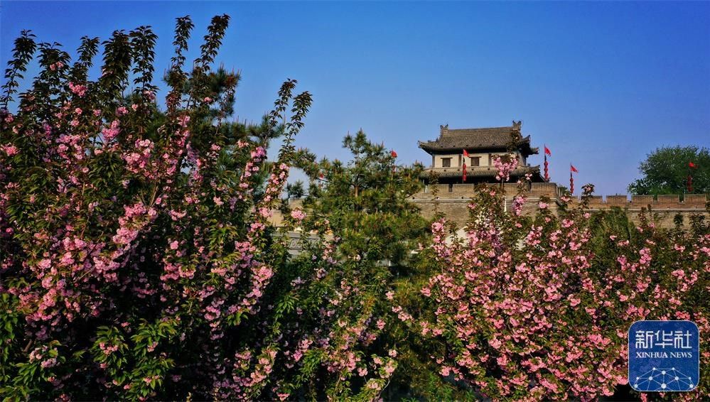 
成都华西医院黄牛代挂号电话票贩子号贩子网上预约挂号,住院检查加快,西安：城墙下 春花开