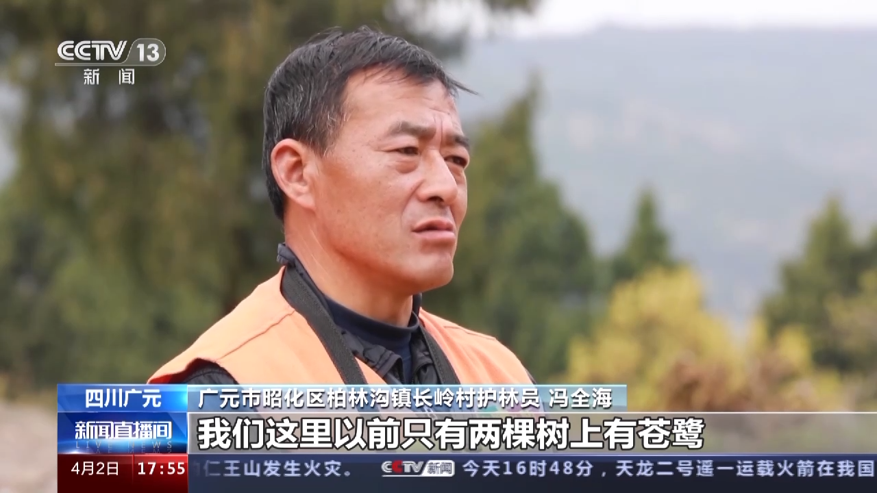 
首都医科大学附宣武医院黄牛代挂号电话票贩子号贩子网上预约挂号,住院检查加快,护林员常态化巡护 上千只苍鹭在四川广元“安家”