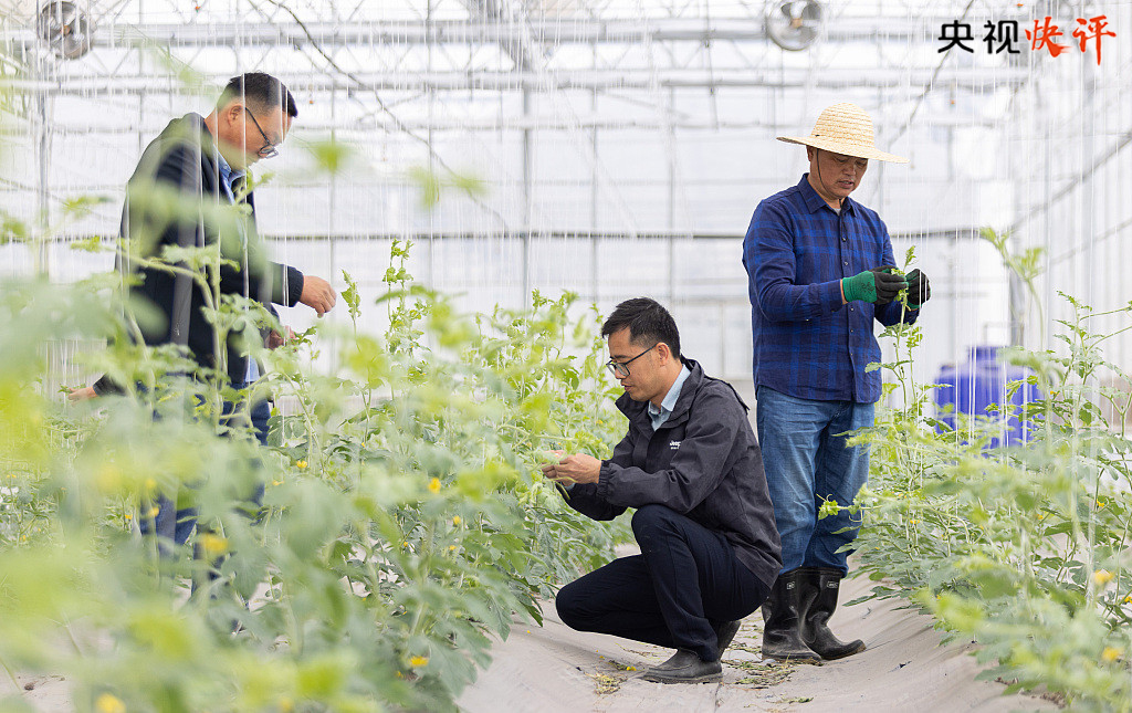 
中国中医科学院西苑黄牛代挂号电话票贩子号贩子网上预约挂号,住院检查加快,【央视快评】依靠劳动创造扎实推进中国式现代化