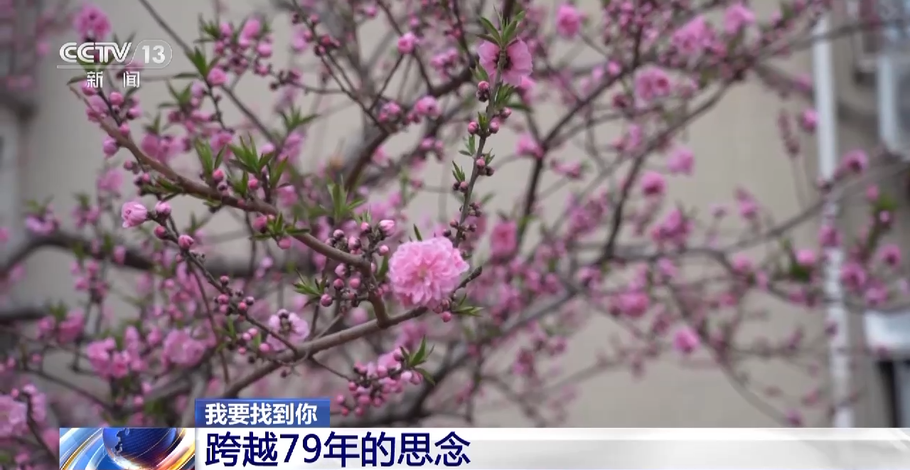 
长沙湘雅医院黄牛代挂号电话票贩子号贩子网上预约挂号,住院检查加快,我要找到你丨一段跨越79年的思念