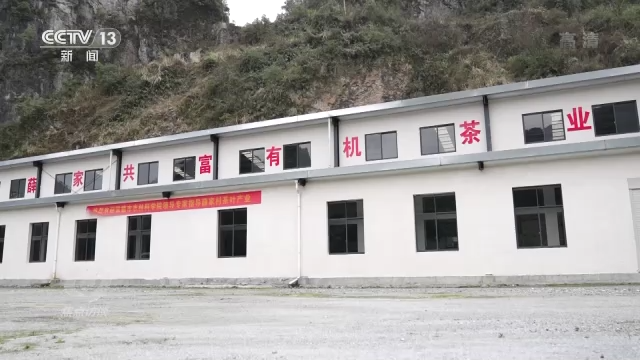 
上海瑞金医院黄牛代挂号电话票贩子号贩子网上预约挂号,住院检查加快,英雄之光丨信仰的力量