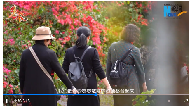 
上海仁济医院黄牛代挂号电话票贩子号贩子网上预约挂号,住院检查加快,乡味丨一朵三角梅引发的“苦坑村”蜕变