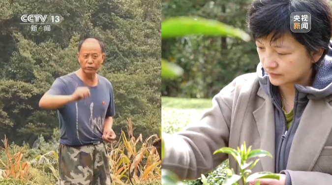 
上海瑞金医院黄牛代挂号电话票贩子号贩子网上预约挂号,住院检查加快,英雄之光丨信仰的力量