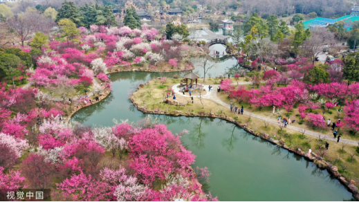 
北医三院黄牛代挂号电话票贩子号贩子网上预约挂号,住院检查加快,当烟火气遇上文艺范 邂逅春天里的“诗与远方”