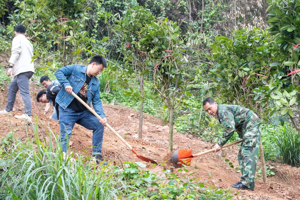 
杭州市七医院黄牛代挂号电话票贩子号贩子网上预约挂号,住院检查加快,中国持续增绿为世界交出“绿色答卷”