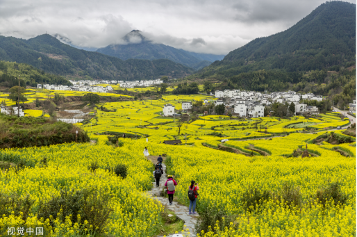 
北医三院黄牛代挂号电话票贩子号贩子网上预约挂号,住院检查加快,当烟火气遇上文艺范 邂逅春天里的“诗与远方”