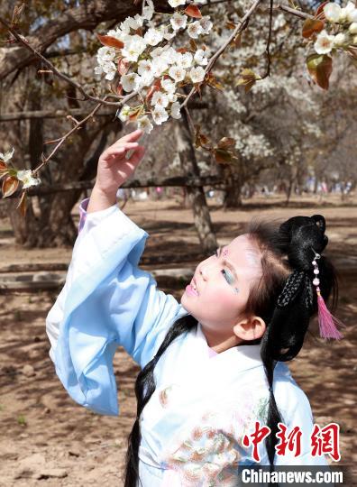 
北医三院黄牛代挂号电话票贩子号贩子网上预约挂号,住院检查加快,宁夏中卫：梨花飘香黄河岸