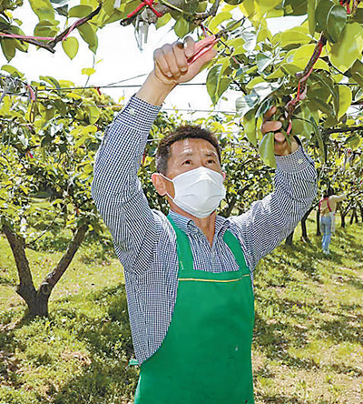 
杭州市三医院黄牛代挂号电话票贩子号贩子网上预约挂号,住院检查加快,新型职业农民成长记（人民眼·育好用好乡土人才②）
