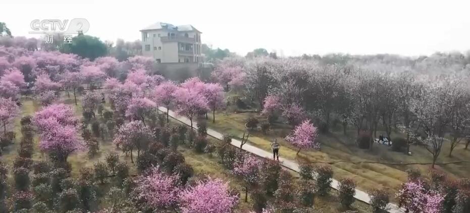 
广东省中医院黄牛代挂号电话票贩子号贩子网上预约挂号,住院检查加快,阳春四月百花美 踏青赏花正当时